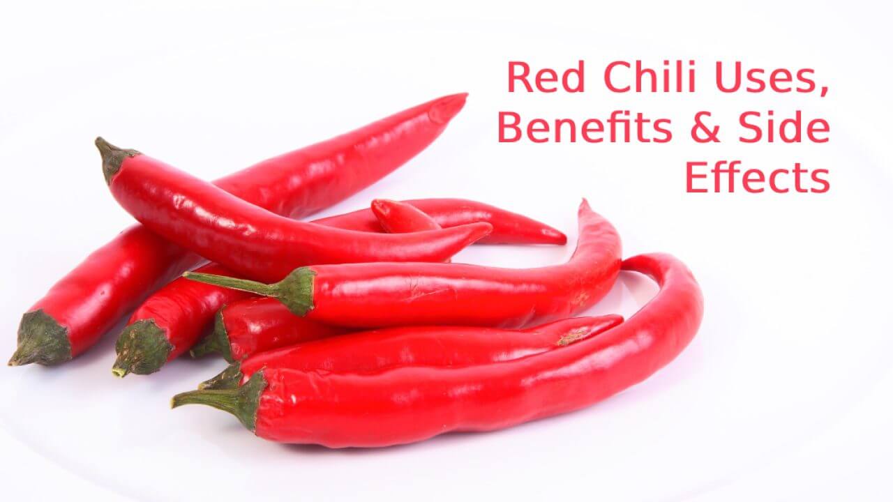 Wellhealthorganic.Com: Red Chilli, Uses, Benefits & Side-Effects