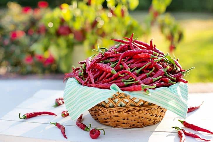Wellhealthorganic.com Red Chilli Benefits & Side-Effects Uses You Should Know About