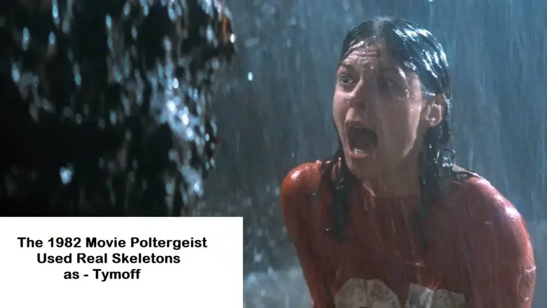 The 1982 Movie Poltergeist Used Real Skeletons as - Tymoff