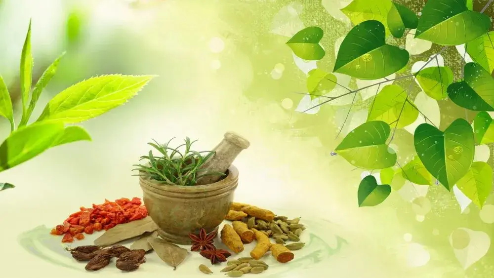 Wellhealthorganic Ayurvedic