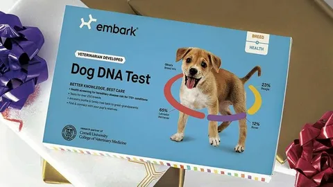 Dog DNA Test in Australia