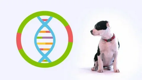 What is a Dog DNA Test